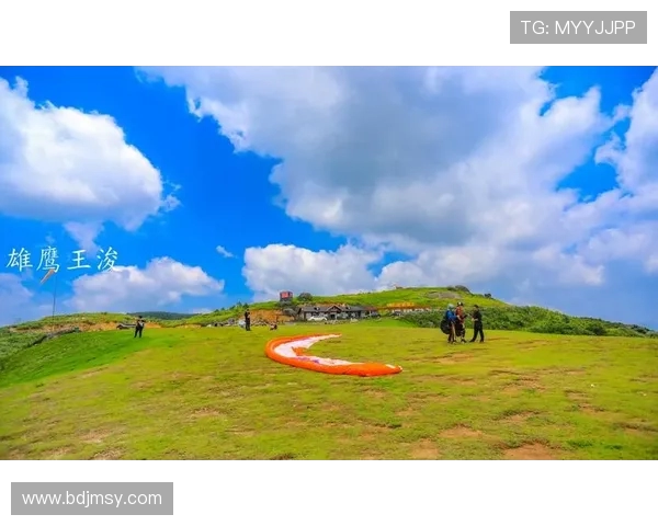 杭州极限运动队实力分析与发展前景探讨