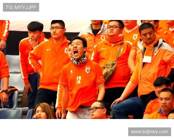 深圳足球队的拼搏历程与精英赛的荣耀之路