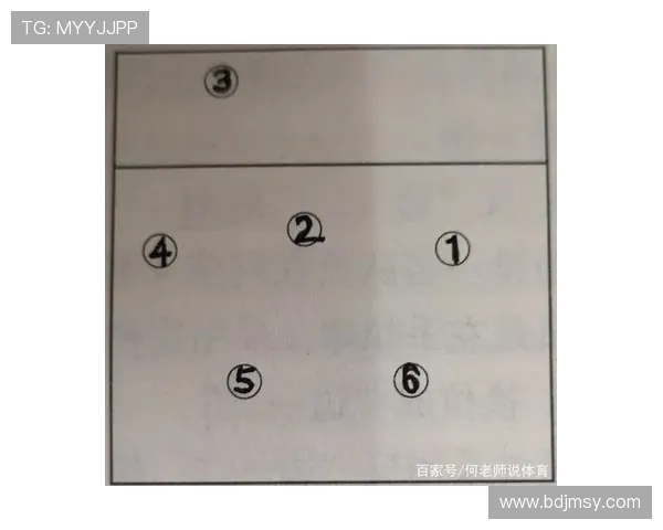 南京排球队中路突破的战术解析与训练秘诀探讨